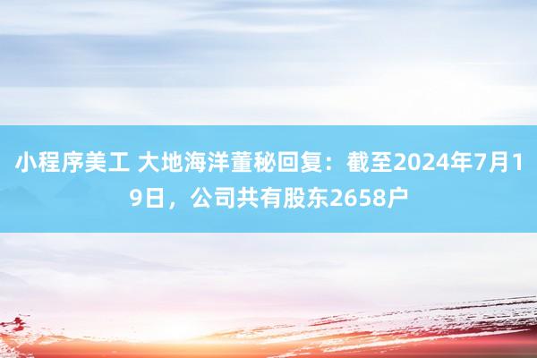 小程序美工 大地海洋董秘回复：截至2024年7月19日，公司共有股东2658户